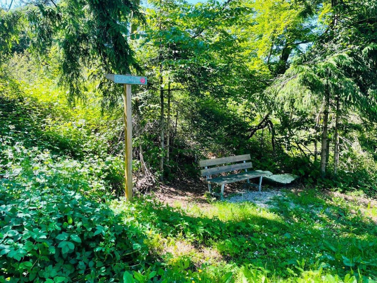 Appartement Zum Hirsch'N Waldkirchen Bagian luar foto