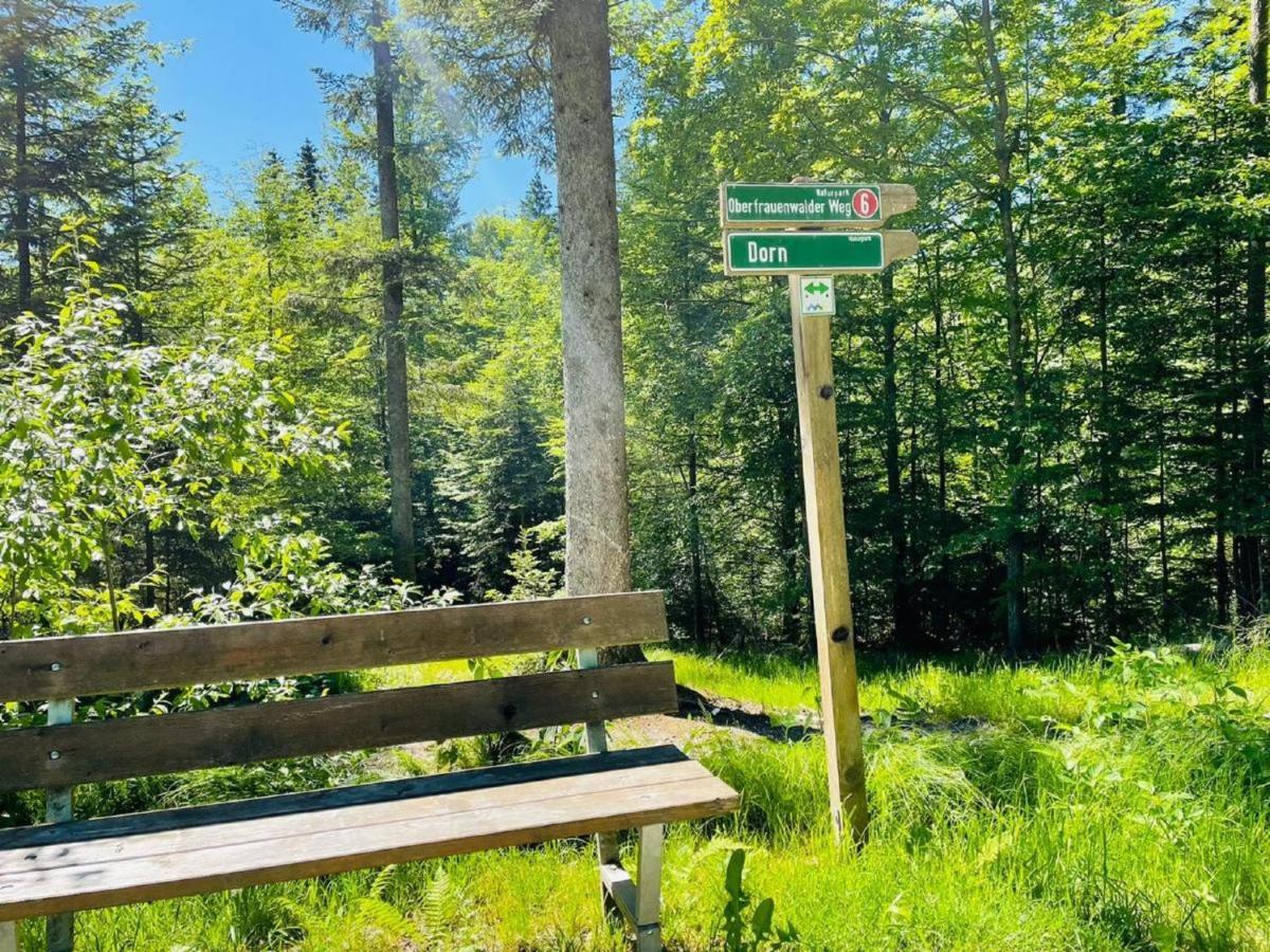 Appartement Zum Hirsch'N Waldkirchen Bagian luar foto
