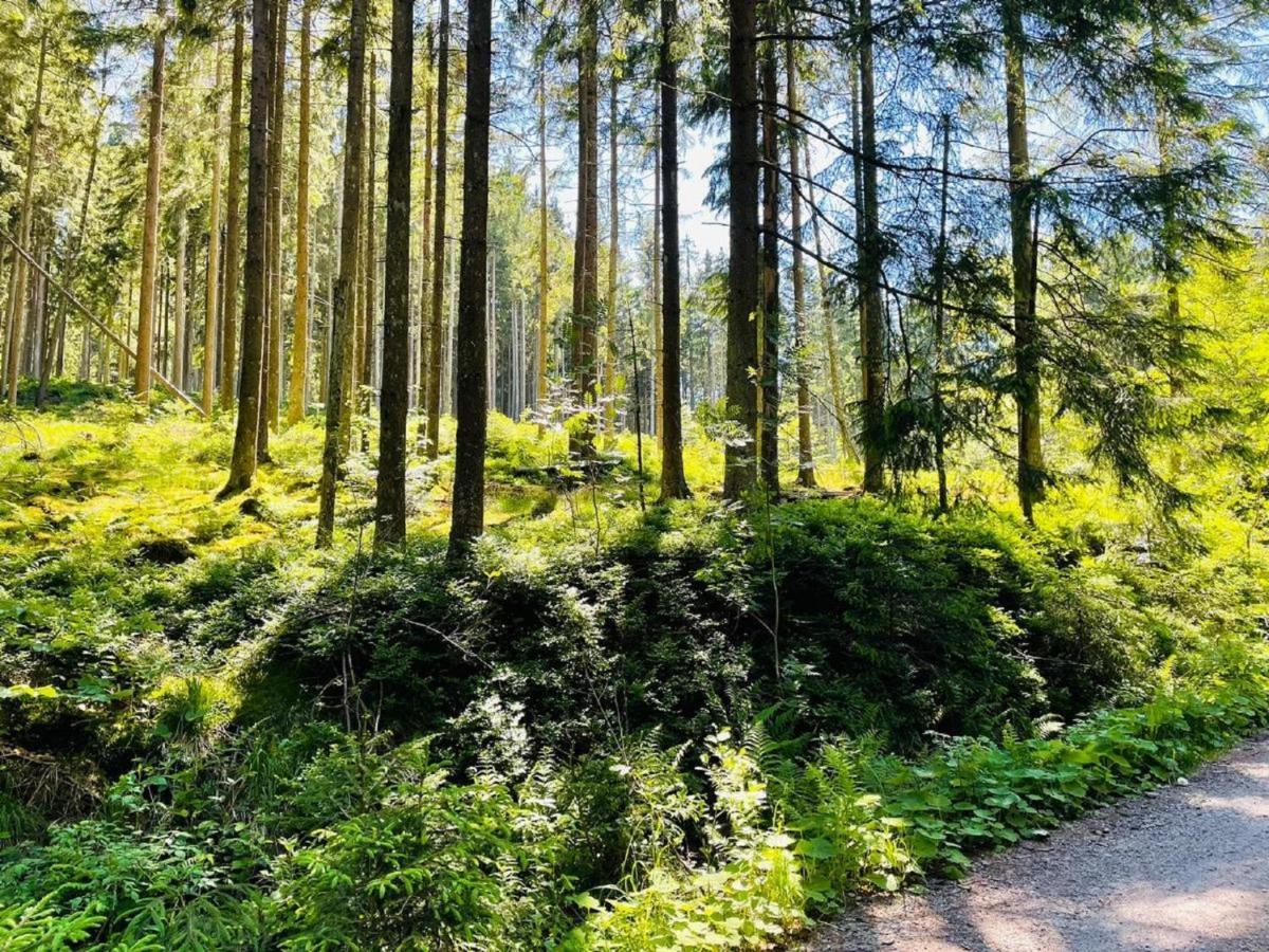 Appartement Zum Hirsch'N Waldkirchen Bagian luar foto